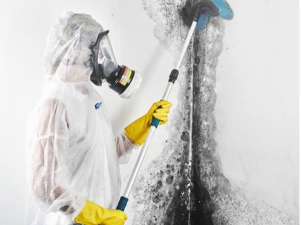 Mould Removal